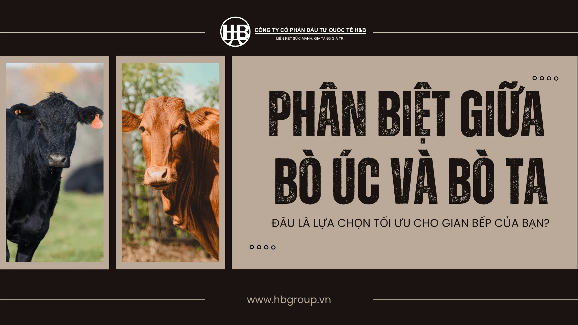 PHÂN BIỆT BÒ ÚC VÀ BÒ TA: ĐÂU LÀ LỰA CHỌN TỐI ƯU CHO GIAN BẾP CỦA BẠN?